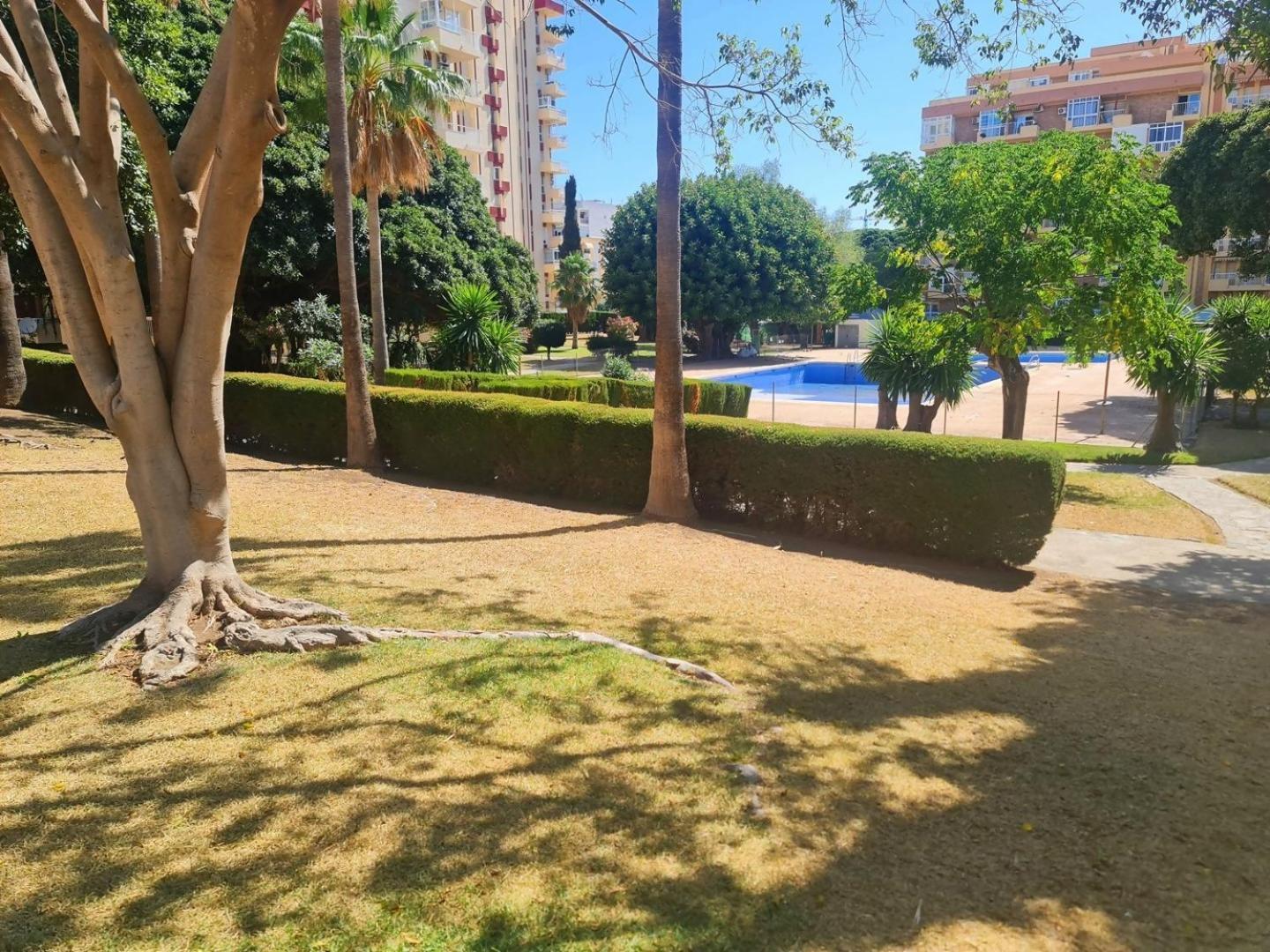 Estudio Aguila Prive Aceptamos Mascotas Benalmádena Εξωτερικό φωτογραφία